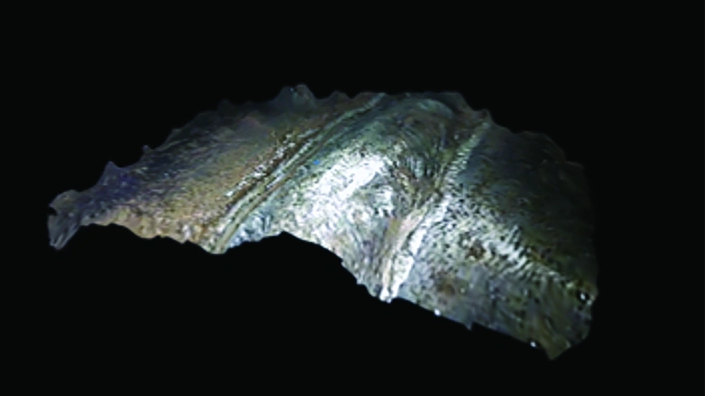 IT Feb 2026 - How Videoscope Technology Is Transforming Weld Inspection - Fig 4.webp