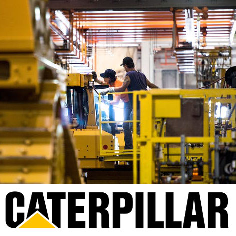 Caterpillar Plant