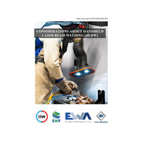 Considerations about Handheld Laser Beam Welding
