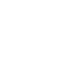 Newsletter Icon.webp