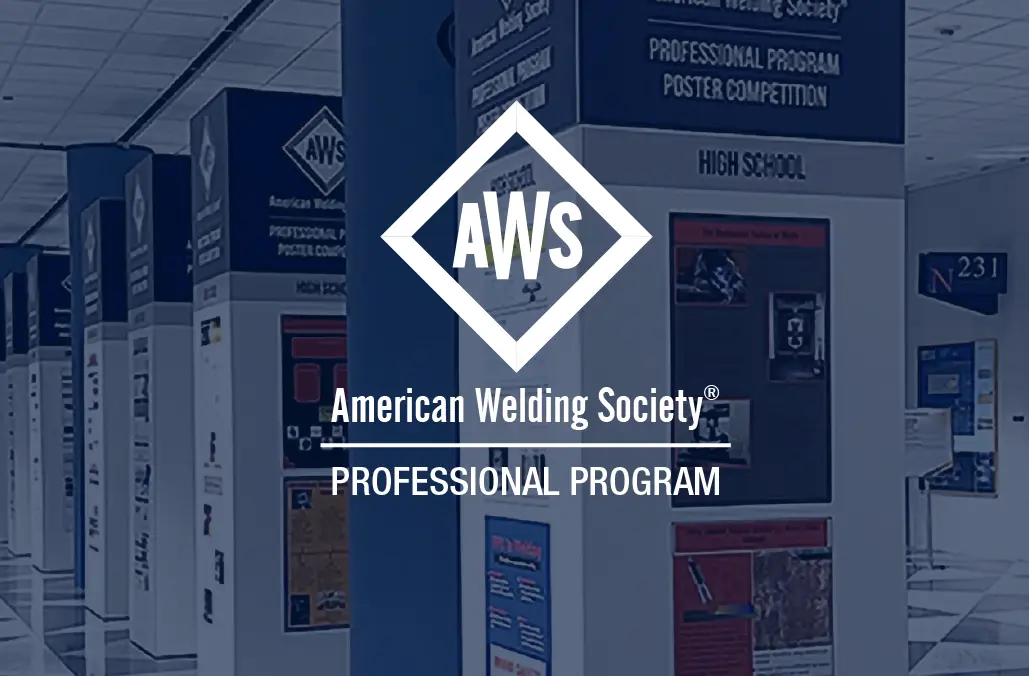 AWS Professional Program